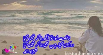 rukhasat huwa tu ankh mila kar nahi giya