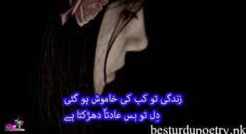 zindagi tu kab ki khamosh ho gai
