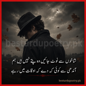 attitude poetry in urdu