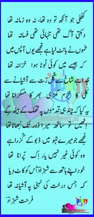 khuli jo aankh to wo tha na 