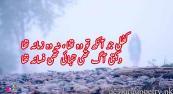 khuli jo aankh to wo tha na wo zamana tha
