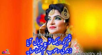 tum ko dekha to yeh khayal aaya lyrics