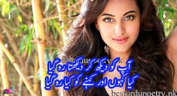 aap ko dekh kar dekhta reh gaya lyrics