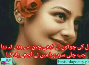 december poetry in urdu