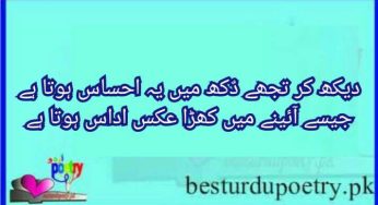 dekh kar tujhy dukh main