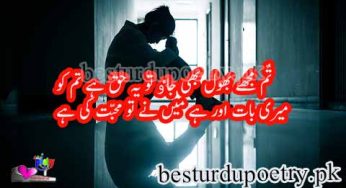 tum mujhy bhool bhi jao tu