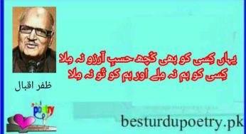 zafar iqbal poetry in urdu best 20 sher