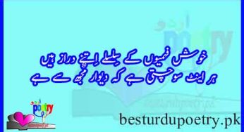 khush fehmiyoun kay silsiay