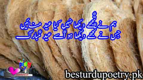 ham nay tujhy dekha nahi kiya eid manayain