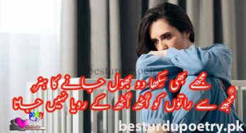 mujhy bhi sikha do bhool