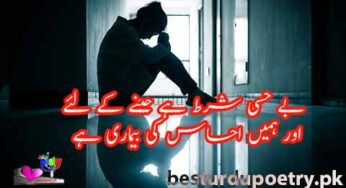 bay hisi shart hai jeenay kay liye