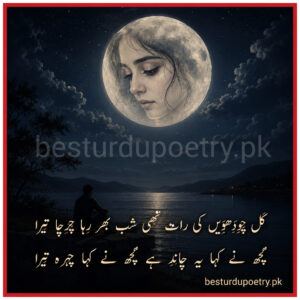 kal chaudhvin ki raat thi 