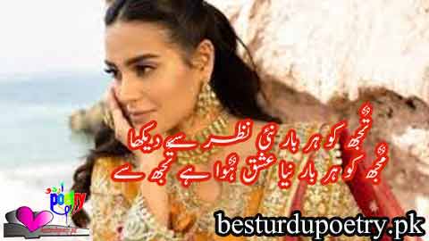 tujh ko har baar nai nazar say dekha