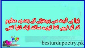 duniya poetry in urdu