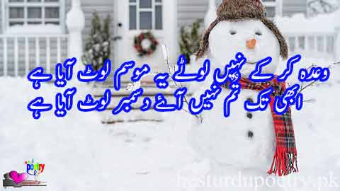 wada kar kay nahi lautay yeh mousam laut aya hai