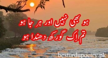 tum ek gorakh dhanda ho lyrics in urdu