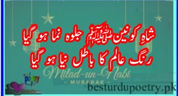 rabi ul awal poetry in urdu 10 sher
