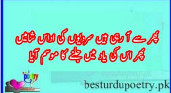 winter, sardi poetry in urdu 10 sher