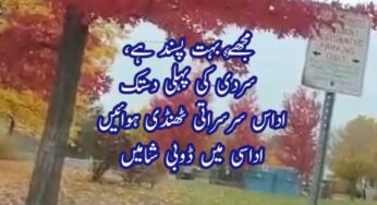 sardi ki pehli dastak poetry in urdu