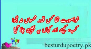 bachpan poetry in urdu 10 sher