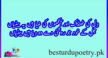 beti poetry in urdu 10 sher
